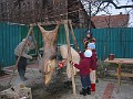 20121209_Porc_CS (5)
